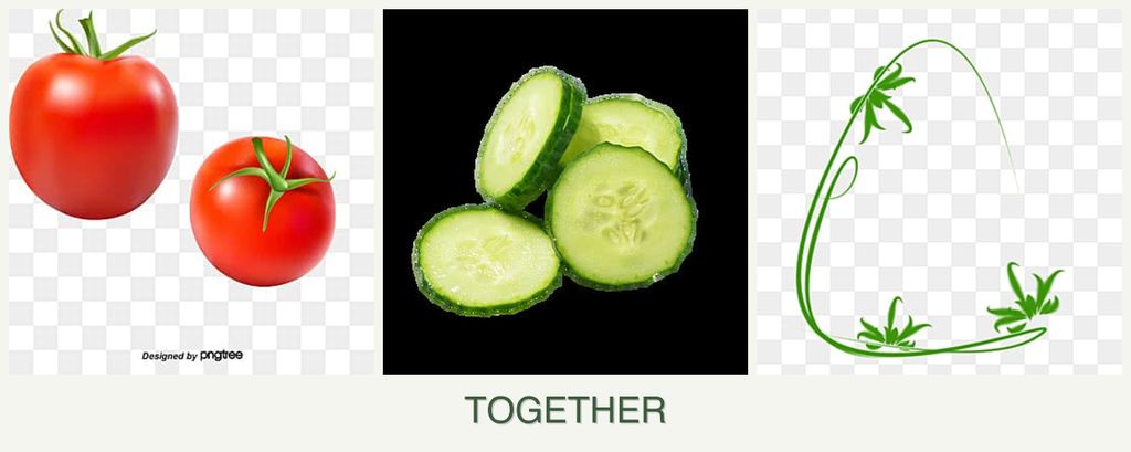 Can you plant tomatoes, cucumbers and tarragon together?