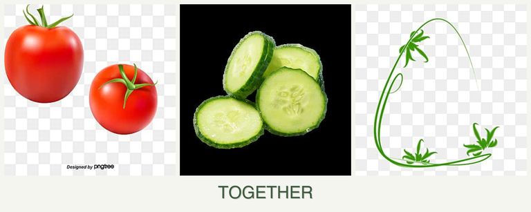 Can you plant tomatoes, cucumbers and tarragon together?