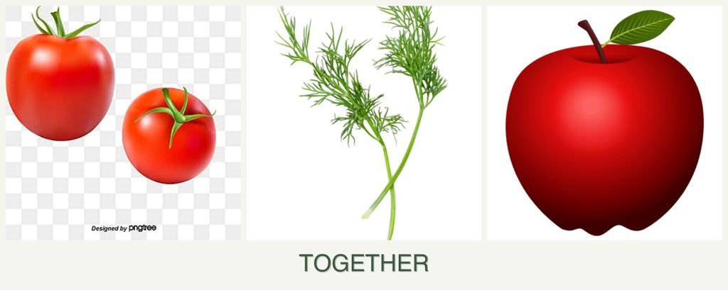 Can you plant tomatoes, dill and apples together?