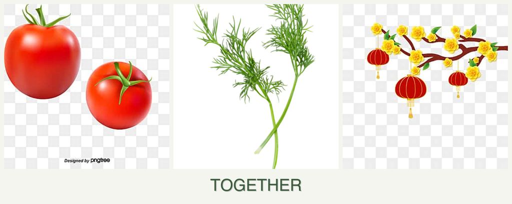 Can you plant tomatoes, dill and apricots together?