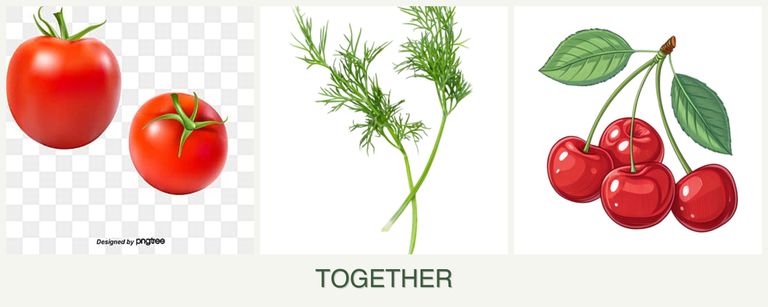 Can you plant tomatoes, dill and cherries together?