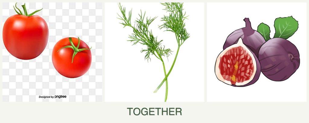Can you plant tomatoes, dill and figs together?