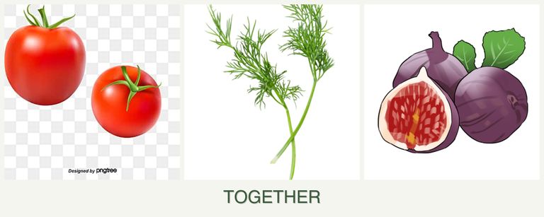 Can you plant tomatoes, dill and figs together?