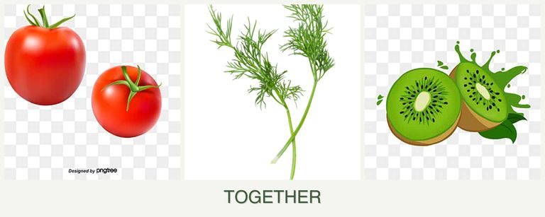 Can you plant tomatoes, dill and kiwi together?