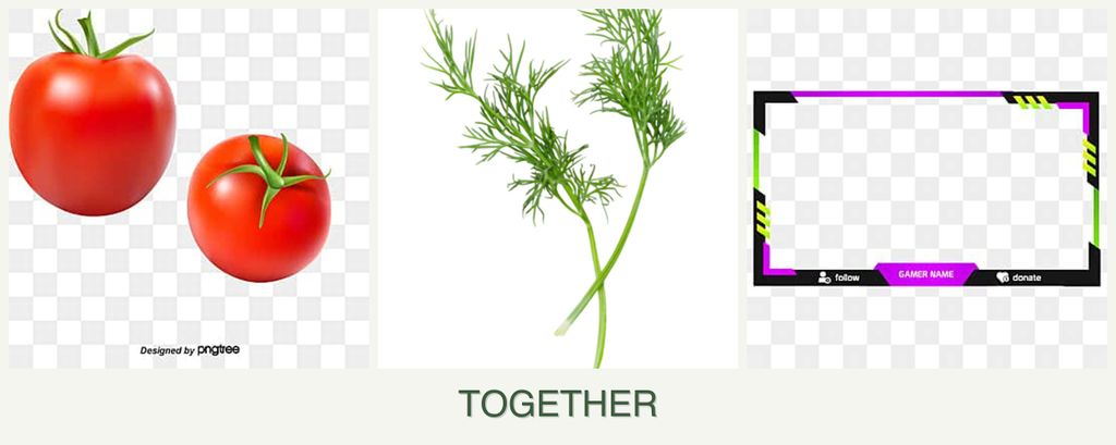 Can you plant tomatoes, dill and limes together?