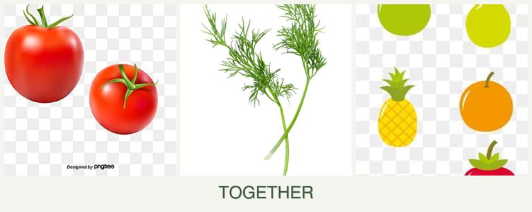 Can you plant tomatoes, dill and pears together?