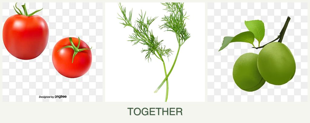 Can you plant tomatoes, dill and plums together?