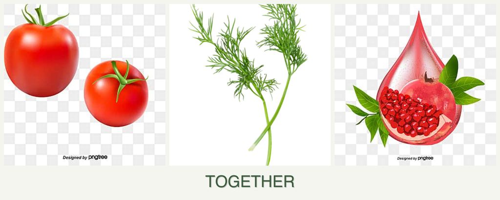 Can you plant tomatoes, dill and pomegranates together?