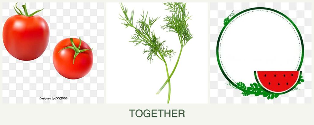 Can you plant tomatoes, dill and watermelons together?