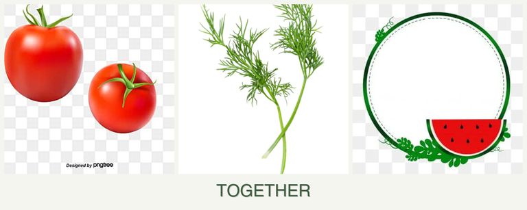 Can you plant tomatoes, dill and watermelons together?