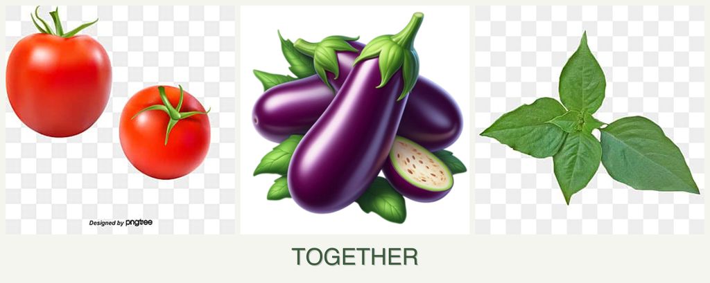 Can you plant tomatoes, eggplant and basil together?