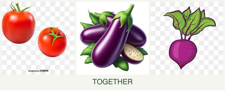 Can you plant tomatoes, eggplant and beets together?