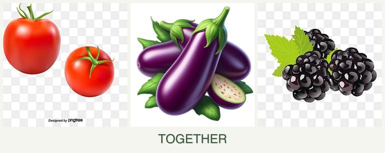 Can you plant tomatoes, eggplant and blackberries together?
