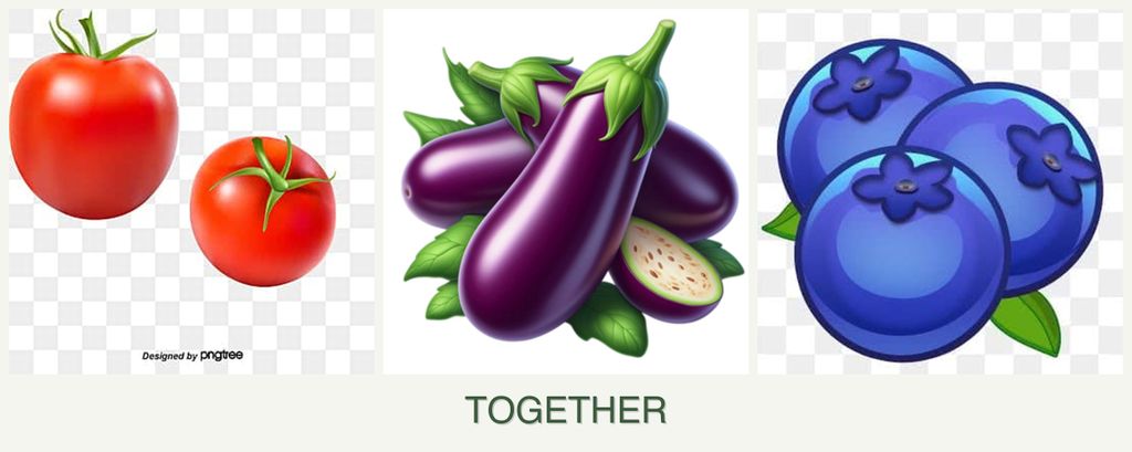 Can you plant tomatoes, eggplant and blueberries together?