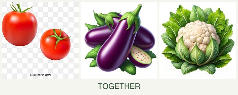 Can you plant tomatoes, eggplant and cauliflower together?