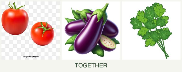 Can you plant tomatoes, eggplant and cilantro together?