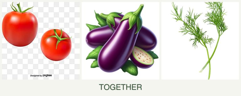 Can you plant tomatoes, eggplant and dill together?
