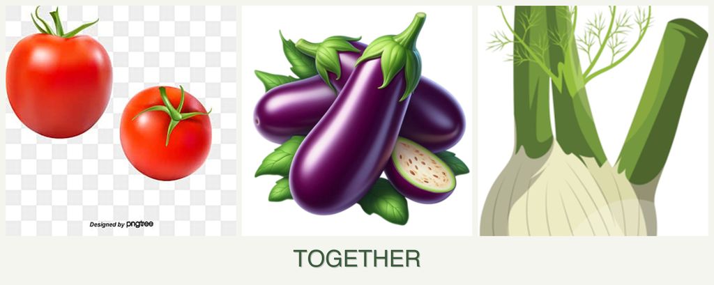 Can you plant tomatoes, eggplant and fennel together?