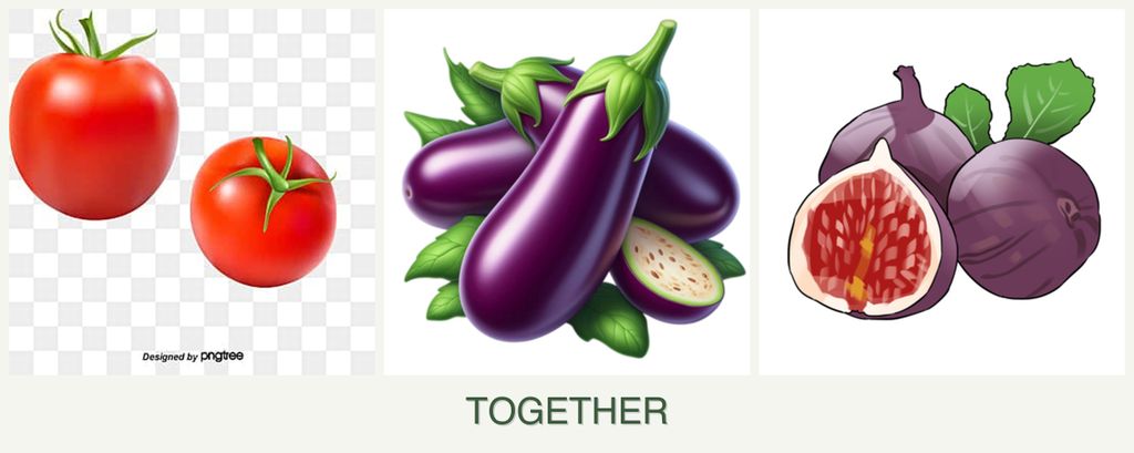 Can you plant tomatoes, eggplant and figs together?