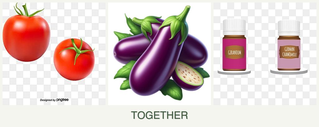Can you plant tomatoes, eggplant and geraniums together?