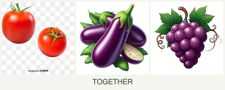 Can you plant tomatoes, eggplant and grapes together?