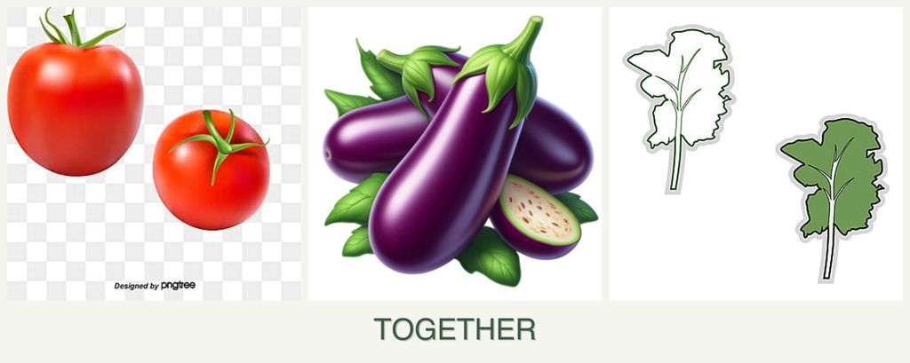 Can you plant tomatoes, eggplant and kale together?