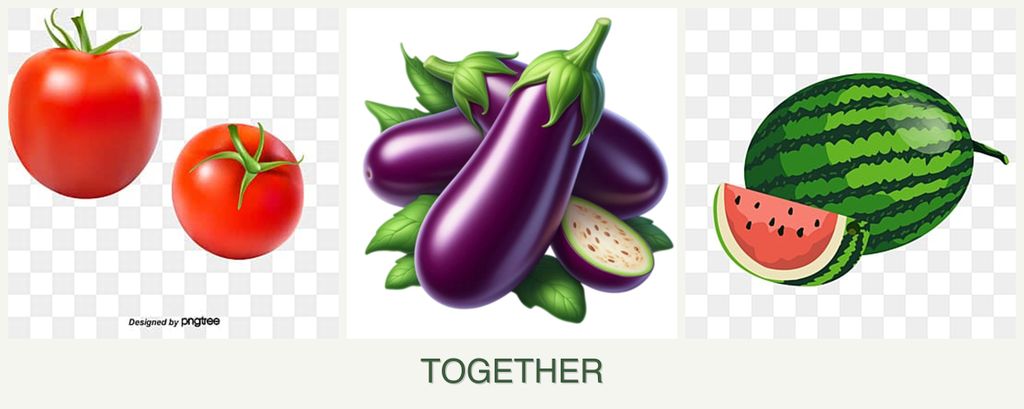 Can you plant tomatoes, eggplant and melons together?