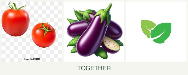 Can you plant tomatoes, eggplant and mint together?