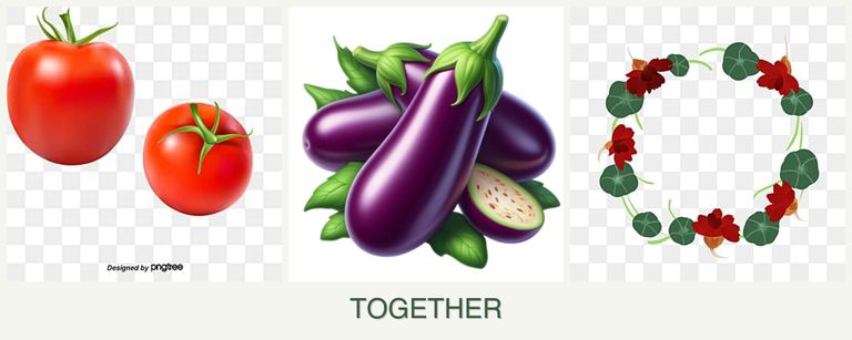 Can you plant tomatoes, eggplant and nasturtiums together?