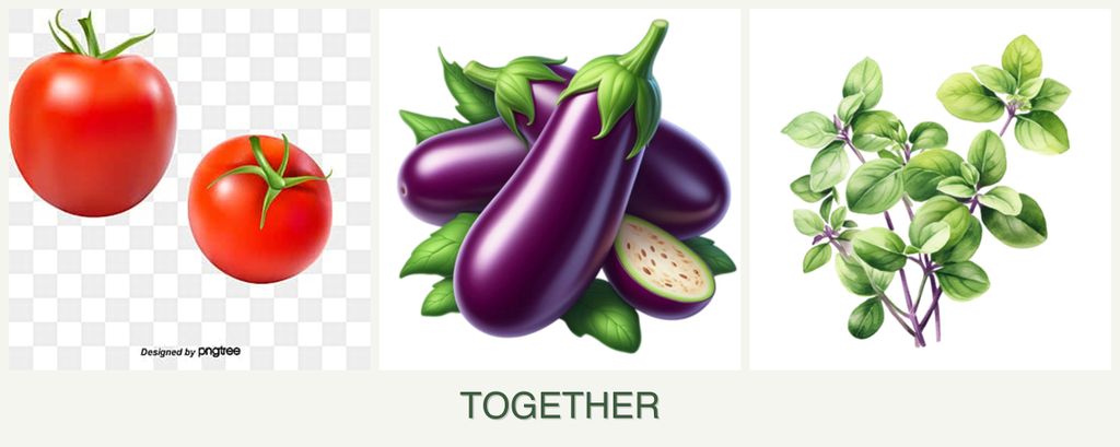 Can you plant tomatoes, eggplant and oregano together?