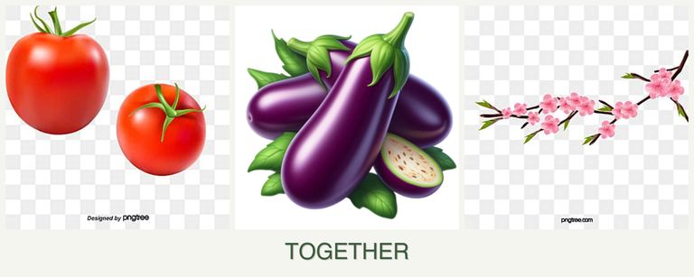 Can you plant tomatoes, eggplant and peaches together?