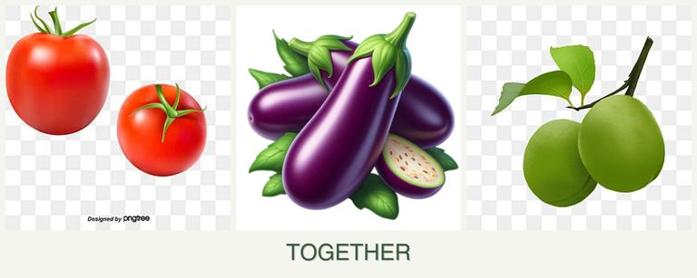 Can you plant tomatoes, eggplant and plums together?
