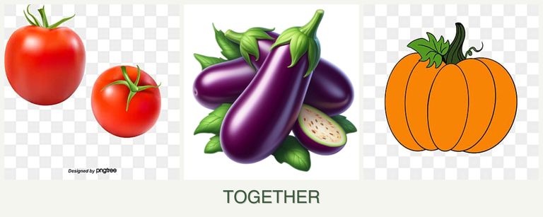 Can you plant tomatoes, eggplant and pumpkin together?