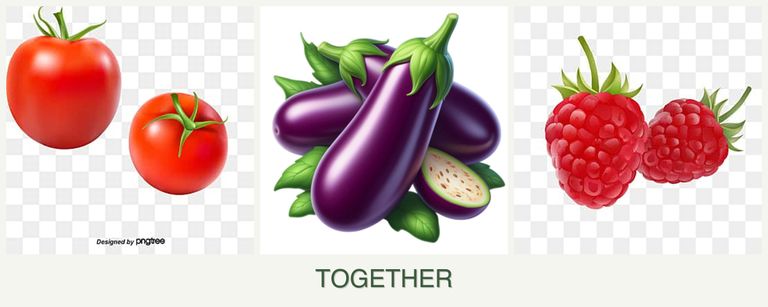 Can you plant tomatoes, eggplant and raspberries together?