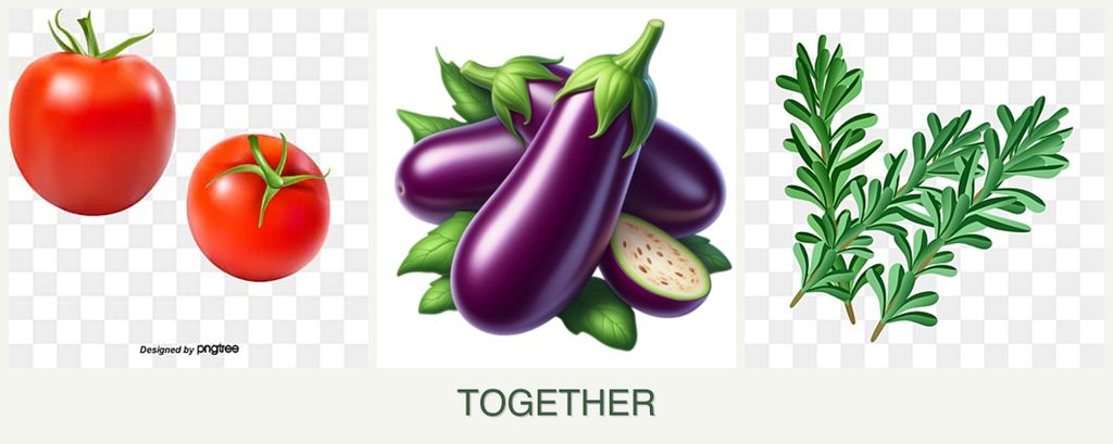 Can you plant tomatoes, eggplant and rosemary together?