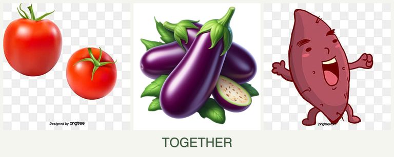 Can you plant tomatoes, eggplant and sweet potatoes together?