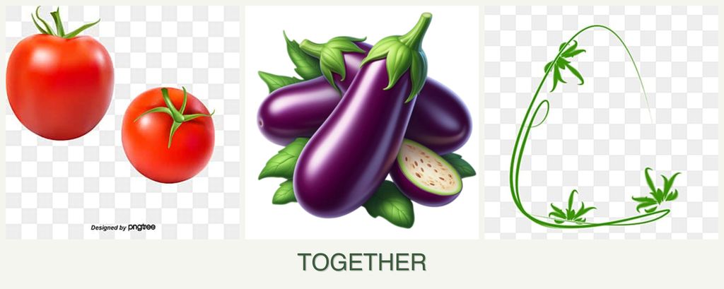 Can you plant tomatoes, eggplant and tarragon together?