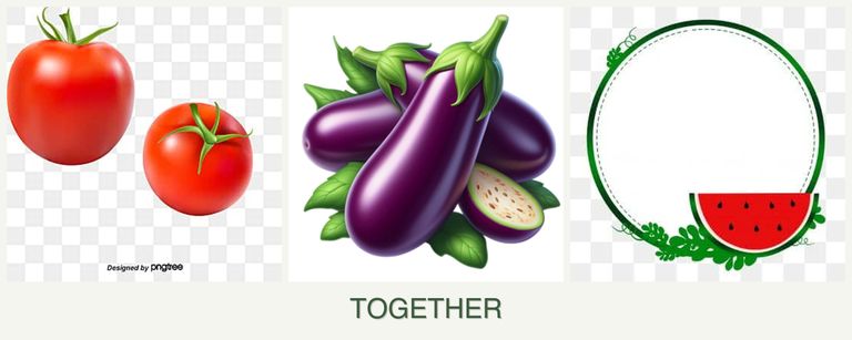 Can you plant tomatoes, eggplant and watermelons together?