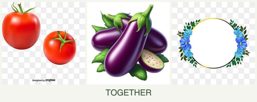 Can you plant tomatoes, eggplant and zinnias together?