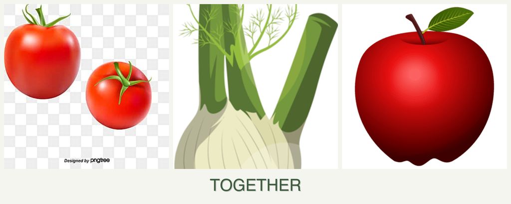 Can you plant tomatoes, fennel and apples together?