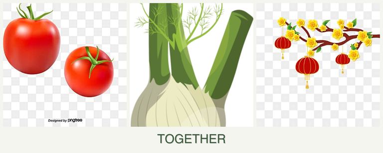 Can you plant tomatoes, fennel and apricots together?