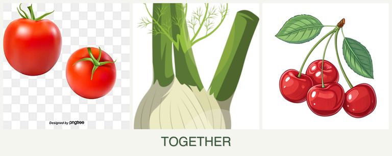 Can you plant tomatoes, fennel and cherries together?