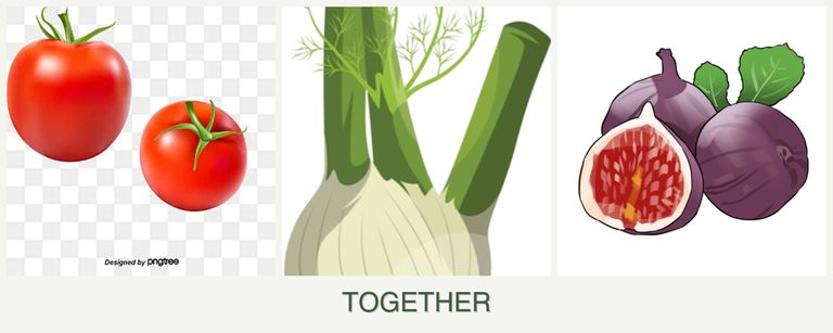 Can you plant tomatoes, fennel and figs together?