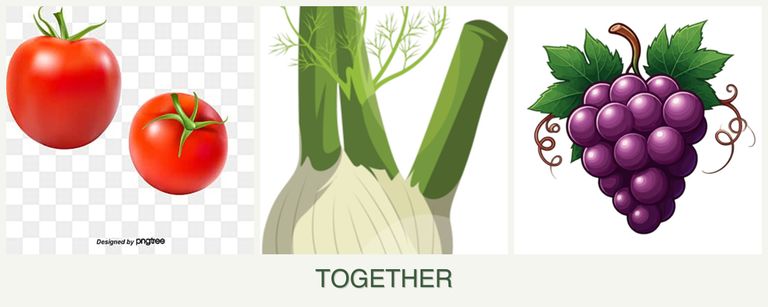 Can you plant tomatoes, fennel and grapes together?