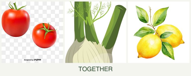 Can you plant tomatoes, fennel and lemons together?