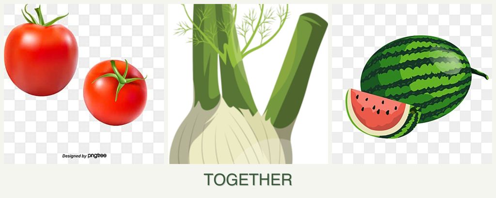 Can you plant tomatoes, fennel and melons together?