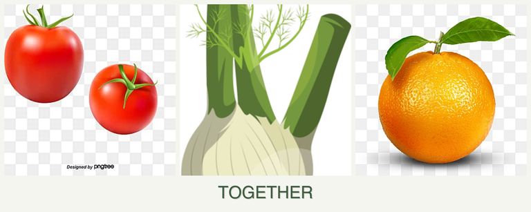 Can you plant tomatoes, fennel and oranges together?