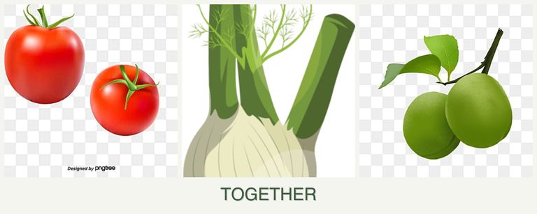 Can you plant tomatoes, fennel and plums together?