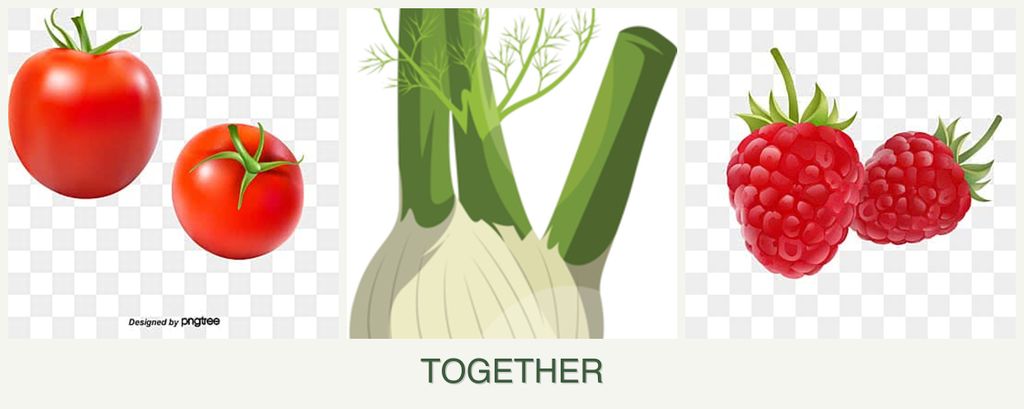 Can you plant tomatoes, fennel and raspberries together?