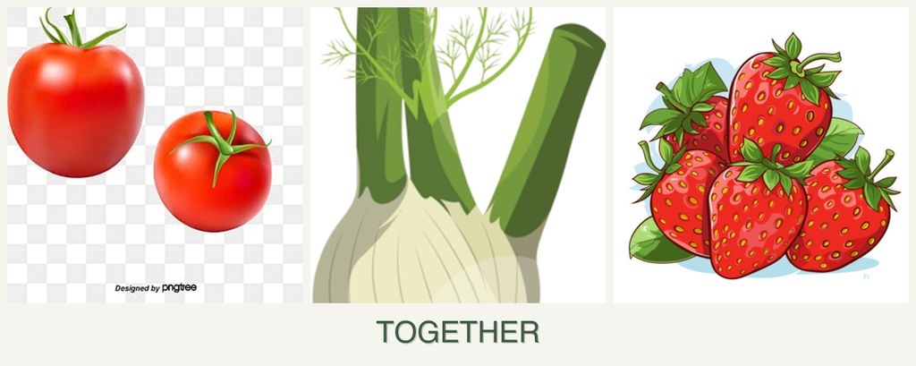 Can you plant tomatoes, fennel and strawberries together?